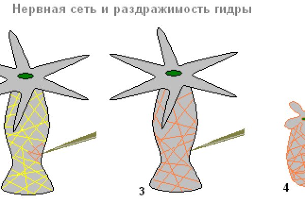 Блэк спрут и другие площадки