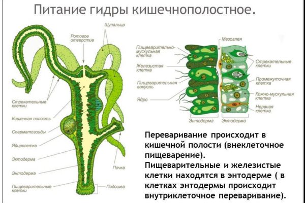 Блэкспрут бот blacksprut2web in