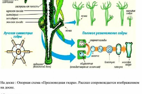 Сайт блэк спрут ссылка bs2web top