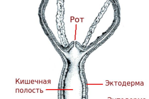 Black sprut адреса