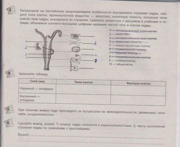 Блэкспрут аккаунты взломанные